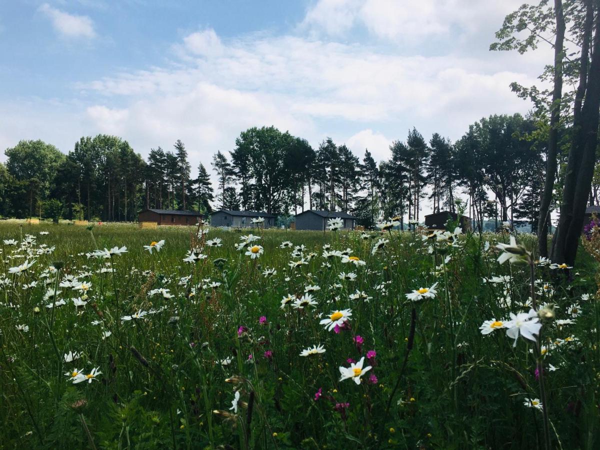 Сasa de vacaciones Hollicarrs - Wildflower *
